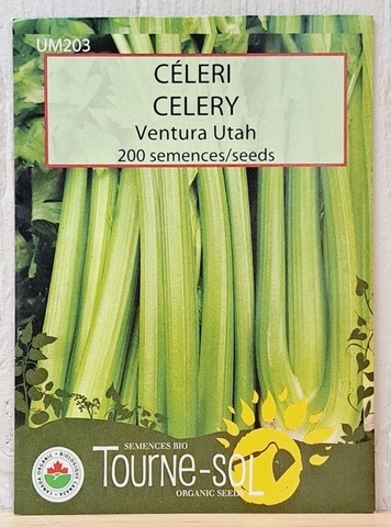 SEEDS - Celery (Tourne-sol)